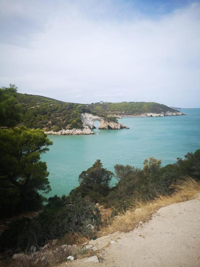 Vieste Holiday Exterior photo